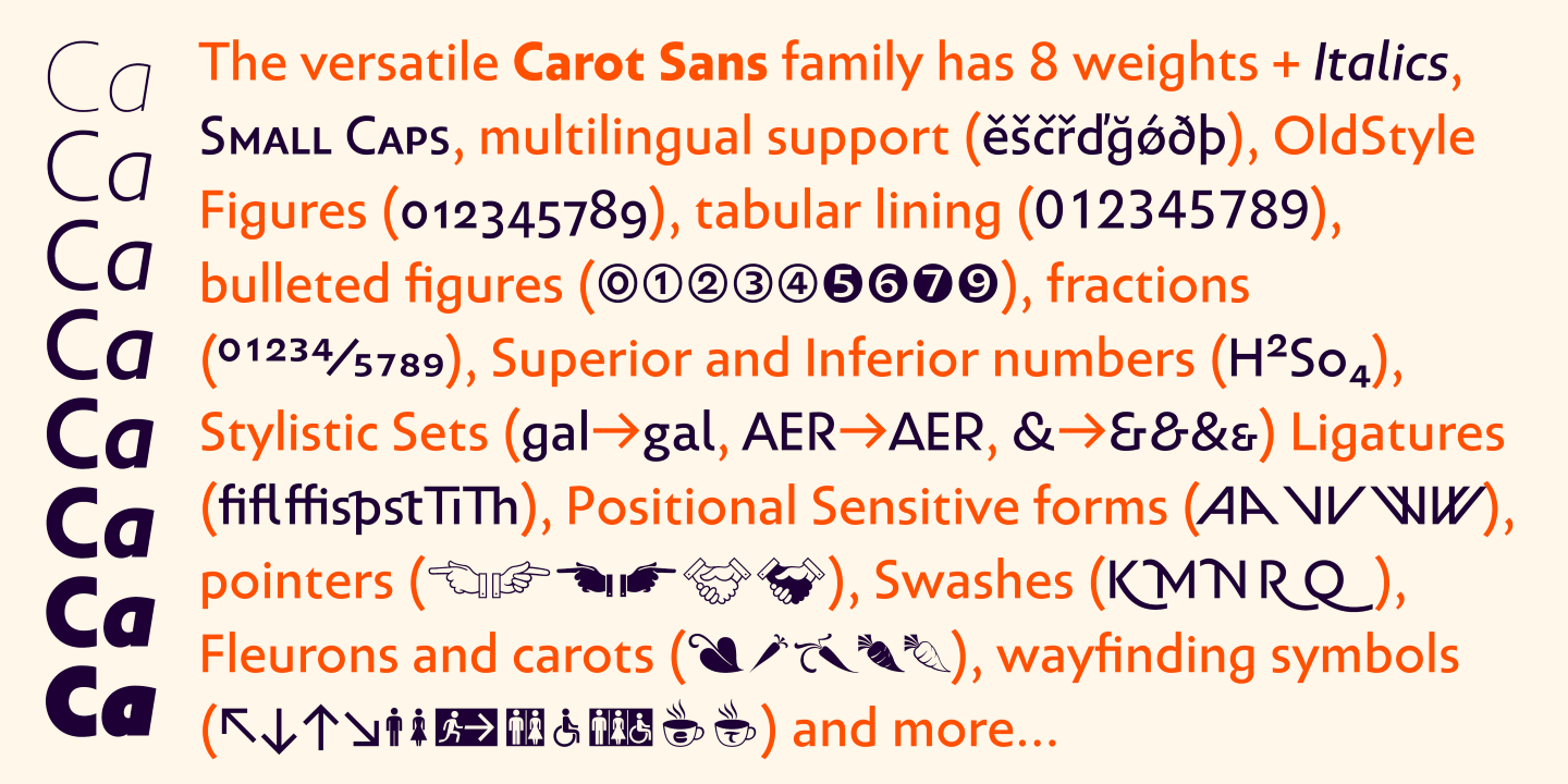 Example font Carot Sans #6